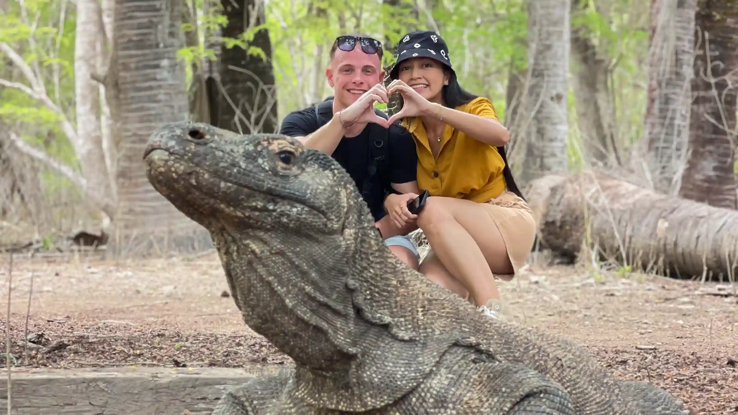 Rinca or Komodo Island: Where Should You See the Dragons?