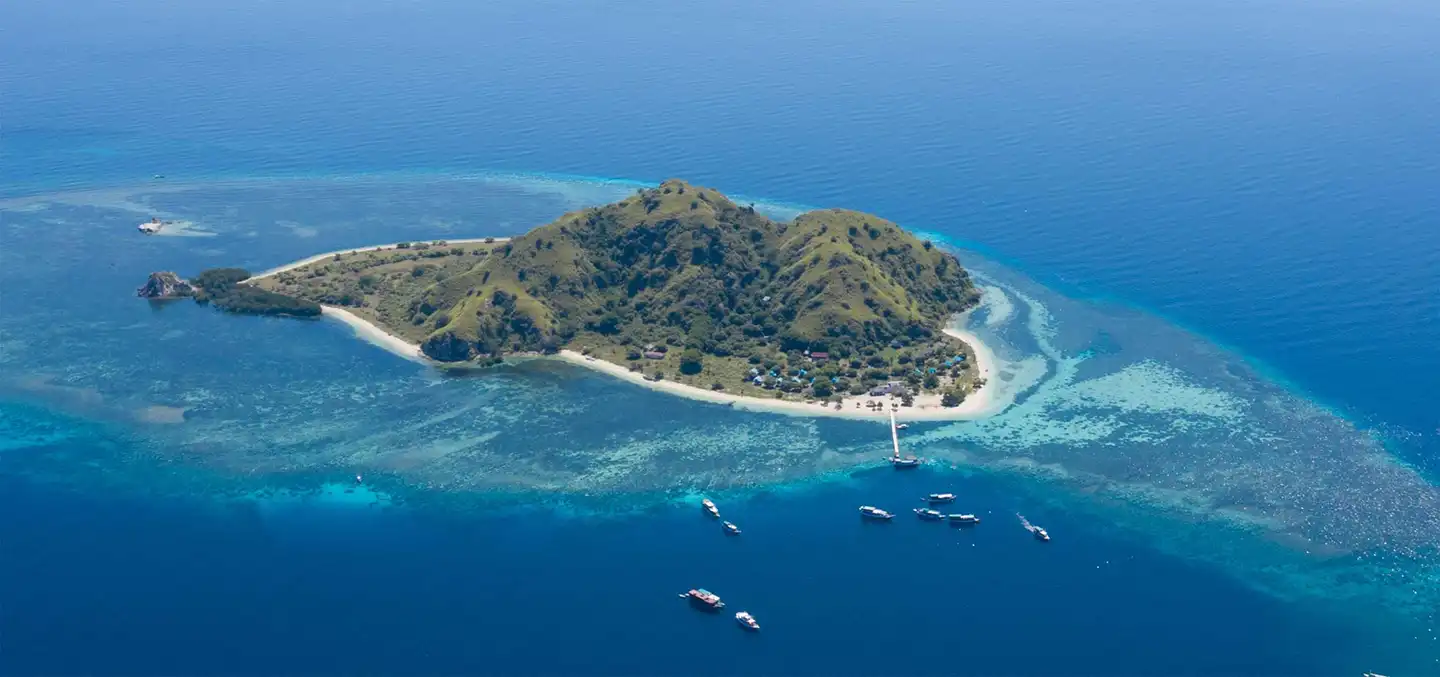 Komodo Escape FAQs 2026: Top Questions Answered About Komodo National Park Trips