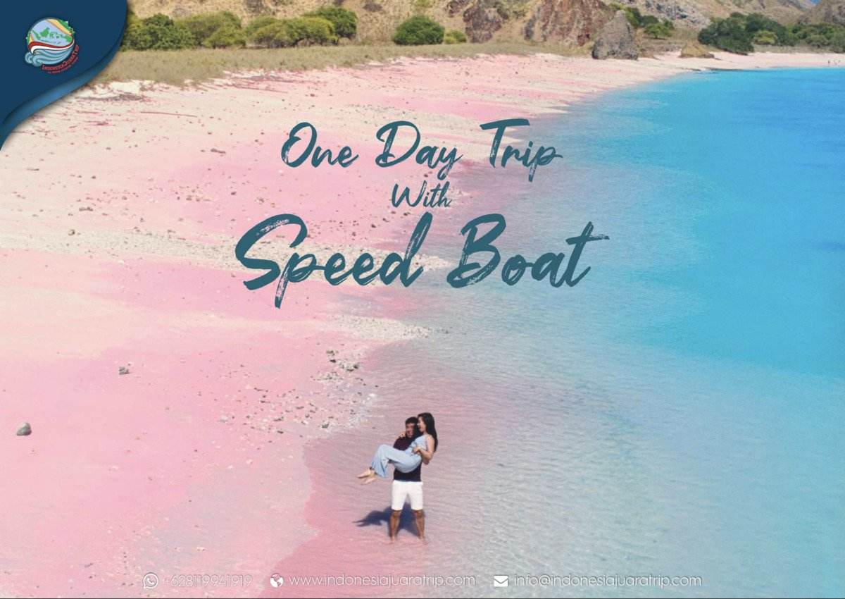 Komodo Escape: Day Trips vs Overnight Cruises Comparison