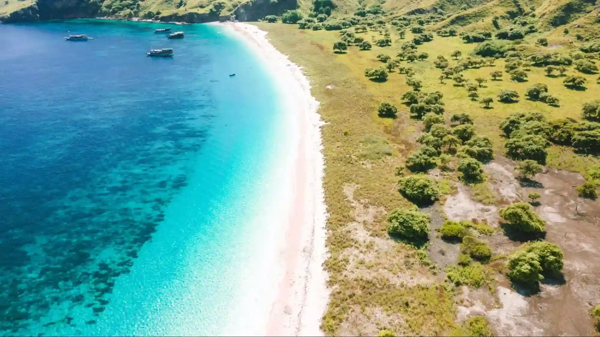 The Impact of Climate Change on Komodo’s Ecosystem
