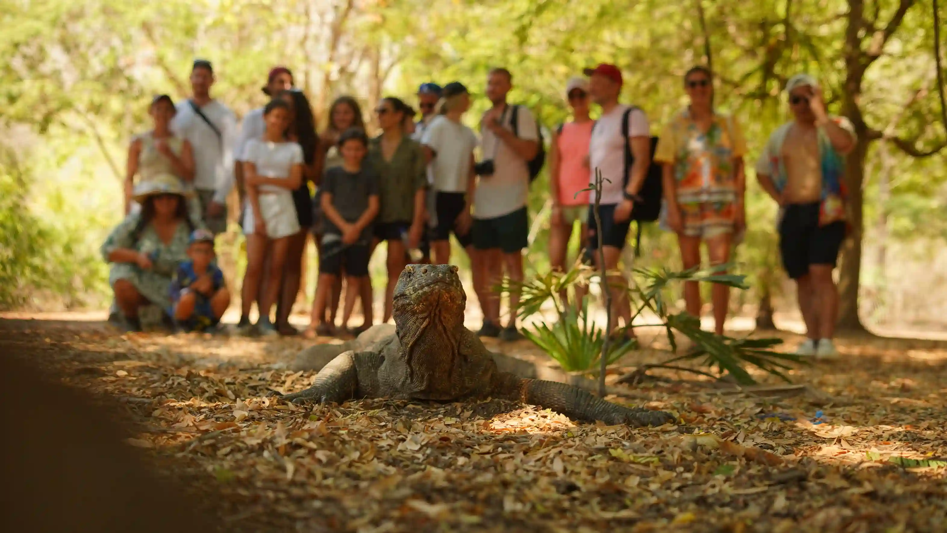 A Day in the Life on Komodo Island: 2027 Edition